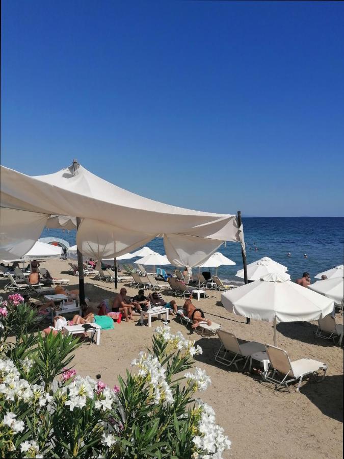 Greca Mare-Traditional Greek Boutique Apt. Psakoudia Exterior photo